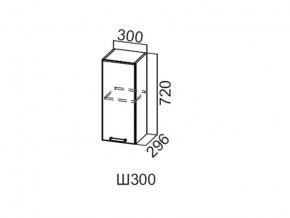 Ш300/720 Шкаф навесной 300/720 в Тавде - tavda.magazin-mebel74.ru | фото