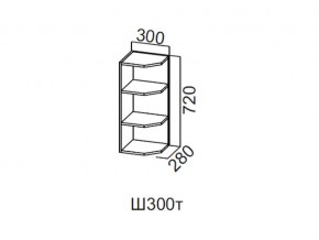 Ш300т/720 Шкаф навесной 300/720 (торцевой) в Тавде - tavda.magazin-mebel74.ru | фото