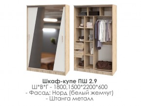 шкаф-купе ПШ-2.9 1500 Норд Белый жемчуг 1500 в Тавде - tavda.magazin-mebel74.ru | фото