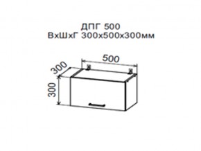 Шкаф верхний ДПГ500 горизонтальный в Тавде - tavda.magazin-mebel74.ru | фото