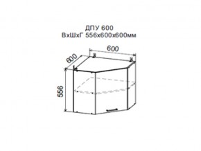 Шкаф верхний ДПУ600 угловой в Тавде - tavda.magazin-mebel74.ru | фото